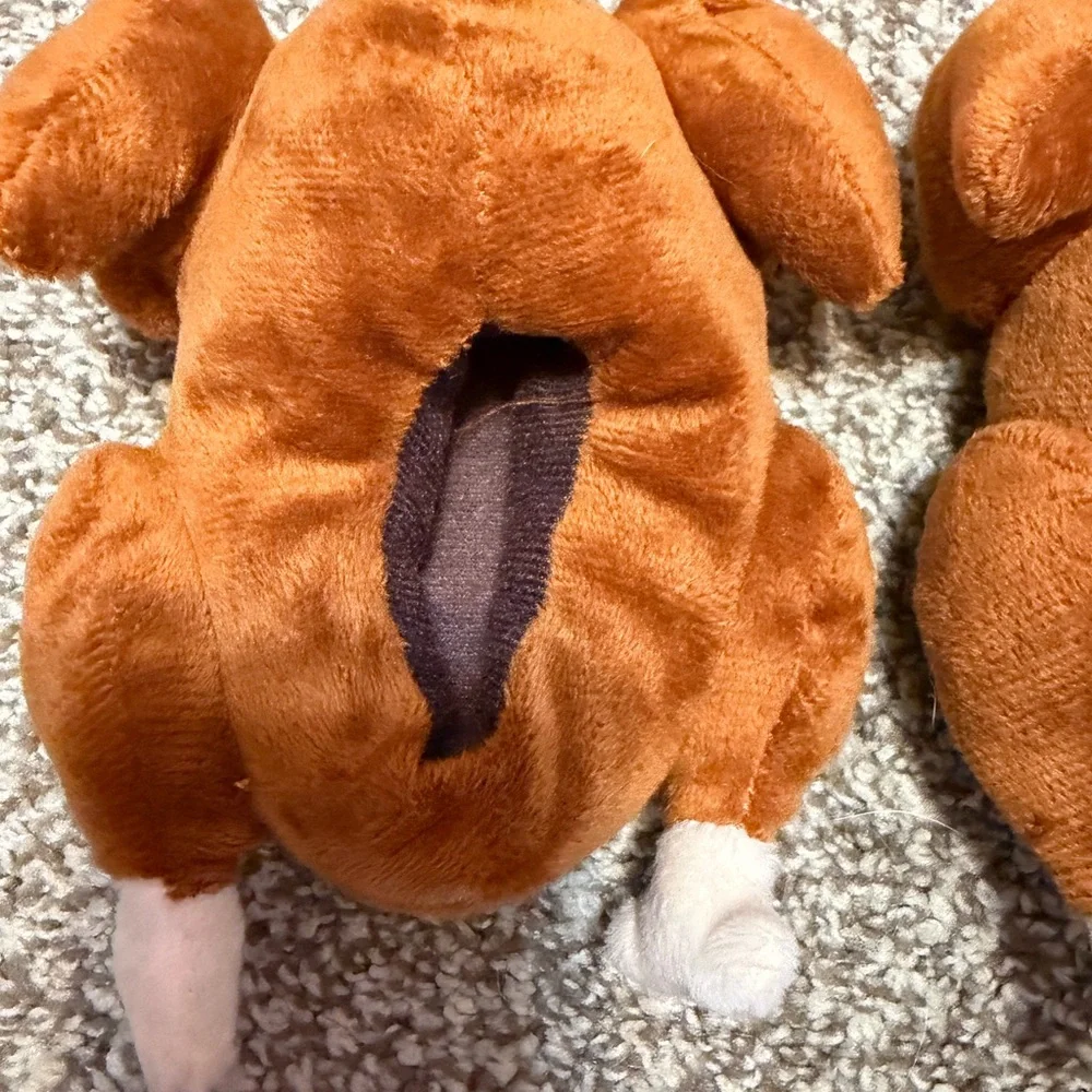 Adorable Turkey Kids Slippers - Brown and White